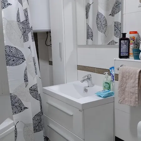 Apartment Aynur Bihac
