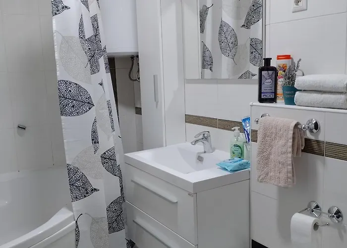 Apartment Aynur Bihać